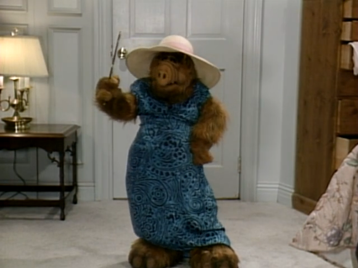 Alf, the titular character from "Alf (TV 1986-1990)" wearing a dress and sunhat while admiring themselves in a hand mirror .

Alf is a male-identifying extraterrestrial alien who enjoys eating cats.